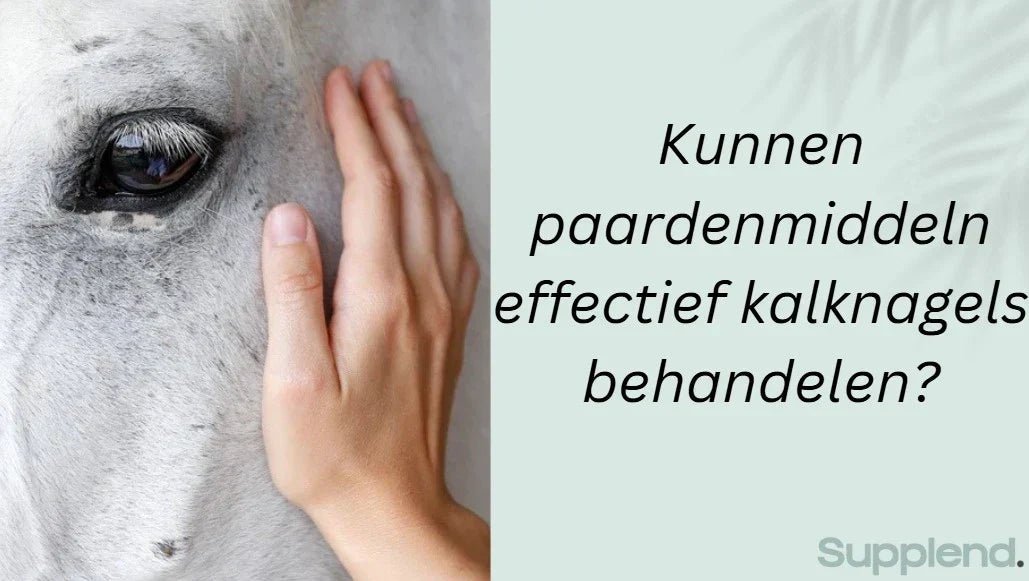 Effectief paardenmiddel tegen schimmelnagel – krachtige natuurlijke behandeling voor gezonde nagels.