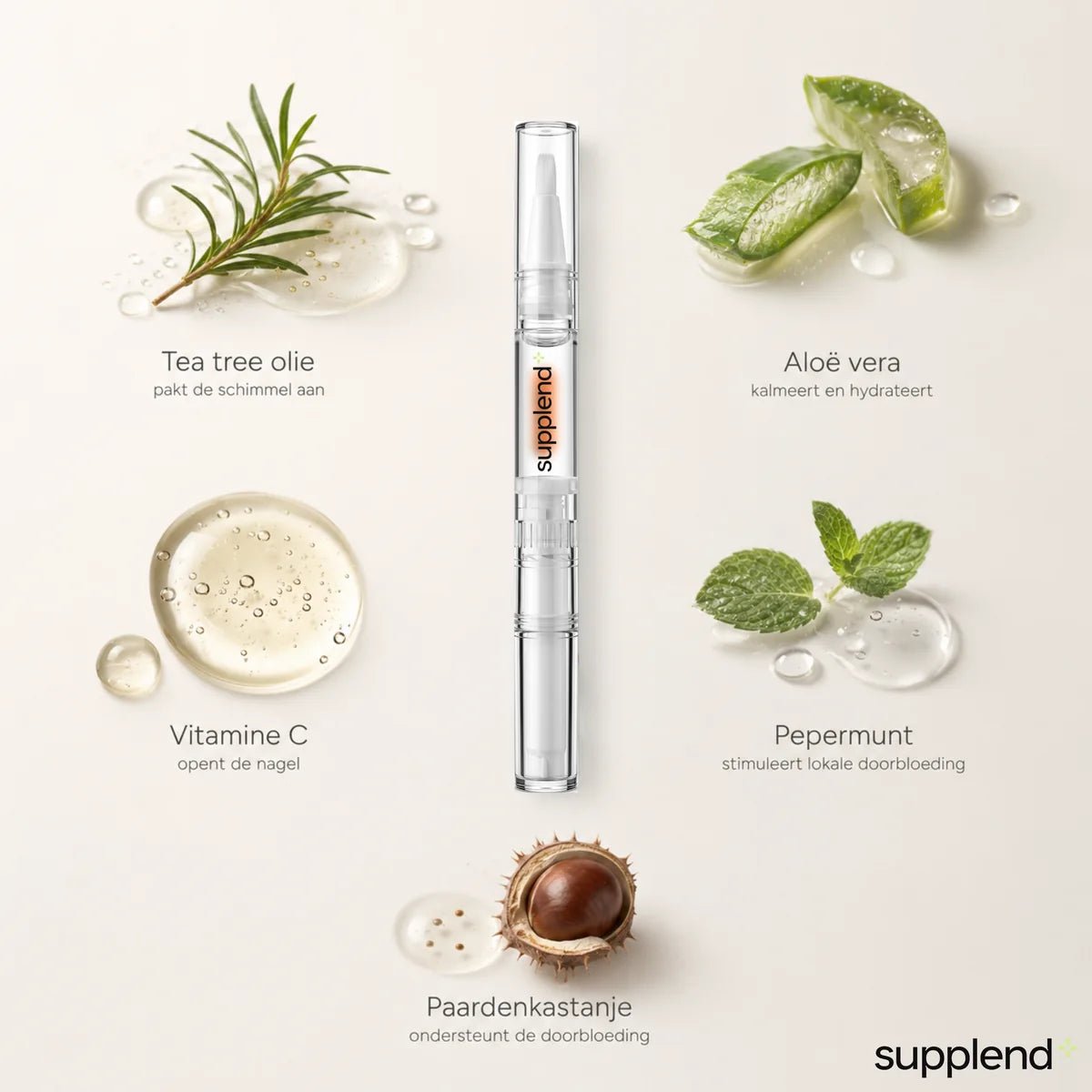 De werkzame ingredienten van Supplend